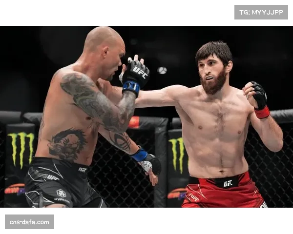 莫卡耶夫自信宣称排名第一 挑战UFC现役冠军为目标 莫卡耶夫自信宣称排名第一 挑战UFC现役冠军为目标